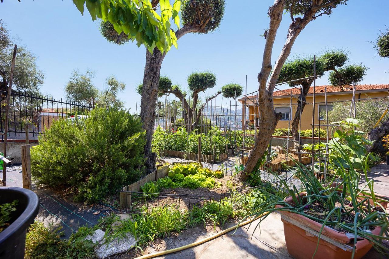 Apartamento Ca Dei Tati - Citra 1181 Imperia Exterior foto
